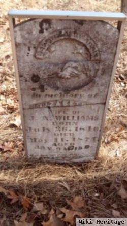 Elizabeth Virginia Whitlock Williams