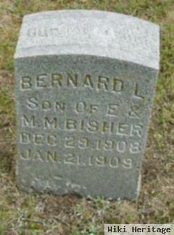 Bernard L Bisher