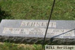 Henry O. Sehnert