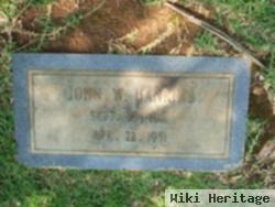 John William Hankins