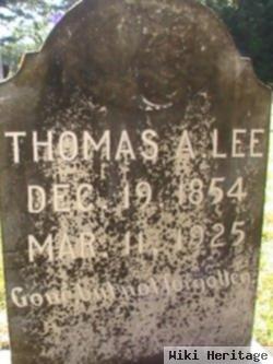 Thomas A Lee