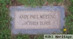 Andy Paul Mueting