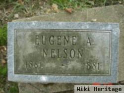 Eugene A Nelson