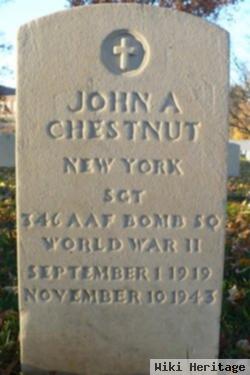 John A Chestnut