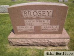 Sarah M. Brosey