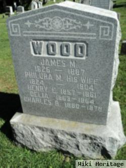 Philura M. Wood