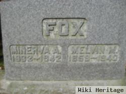 Minerva A Carpenter Fox