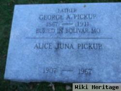 Alice Juna Pickup