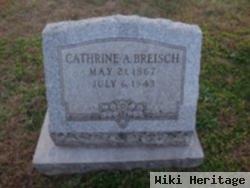 Cathrine Ann Moll Breisch