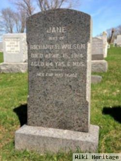 Jane Holcombe Wilson