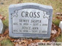 Joyce Ann Cross