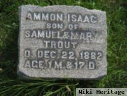 Ammon Isaac Trout