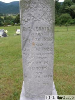 R. C. Jenkins