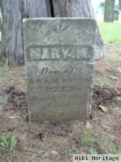 Mary M. Wasson