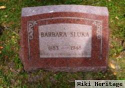 Barbara Horkey Sluka