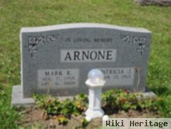 Mark R. Arnone