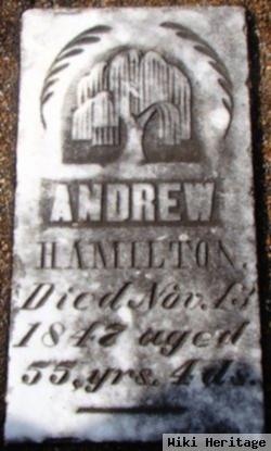 Andrew Hamilton