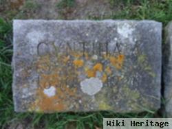 Cynthia Ann Conkle Hull