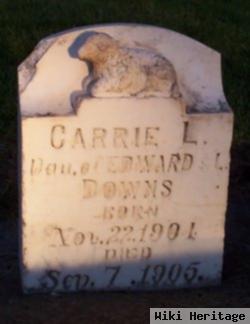 Carrie Lizette Downs