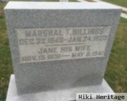 Nancy Jane Harlan Billings