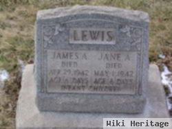 Jane A. Lewis