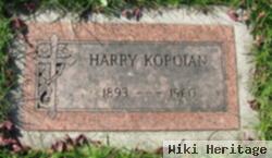 Harry Kopoian