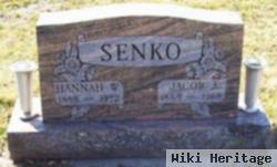 Jacob J Senko