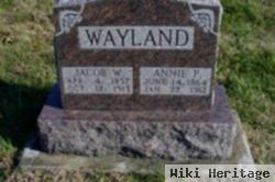 Annie Pennywitt Wayland