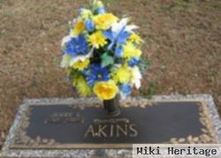 Jerry L Akins