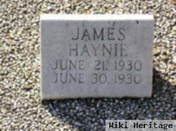 James Haynie