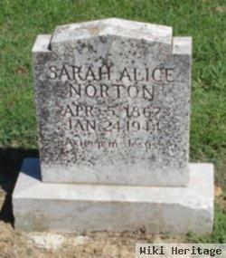 Sarah Alice Willey Norton