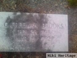 George Freeman Brooks