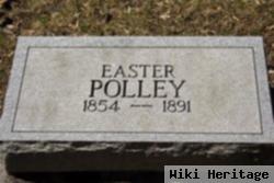 Easter Polley