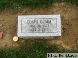 Toshi Dumm