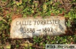 Callie Forrester