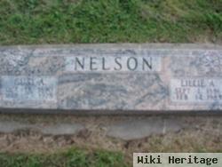 Lillie A. Nelson