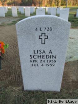 Lisa A Schedin