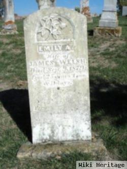 Emily A. Welsh