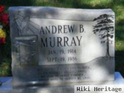 Andrew B. Murray