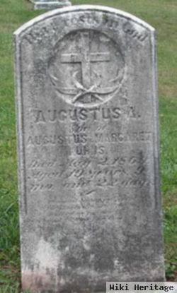 Augustus A. Kuhns