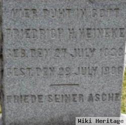 Friedrich H Heineke