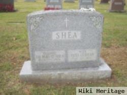 Thomas C Shea