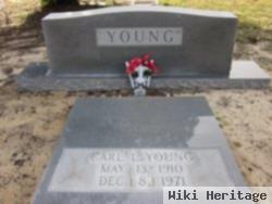 Carl L Young