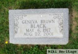 Geneva Brown Black