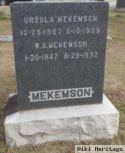 William Andrew Mekemson