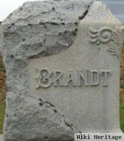 Lloid L Brandt