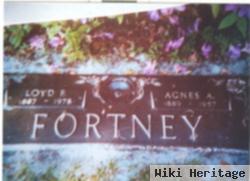 Agnes Arneida Herr Fortney