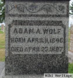 Adam A Wolf