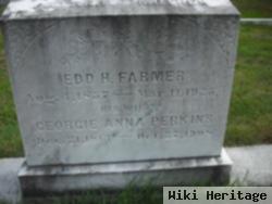 Georgie Anna Perkins Farmer