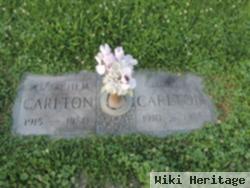 Elizabeth M. Pethel Carlton